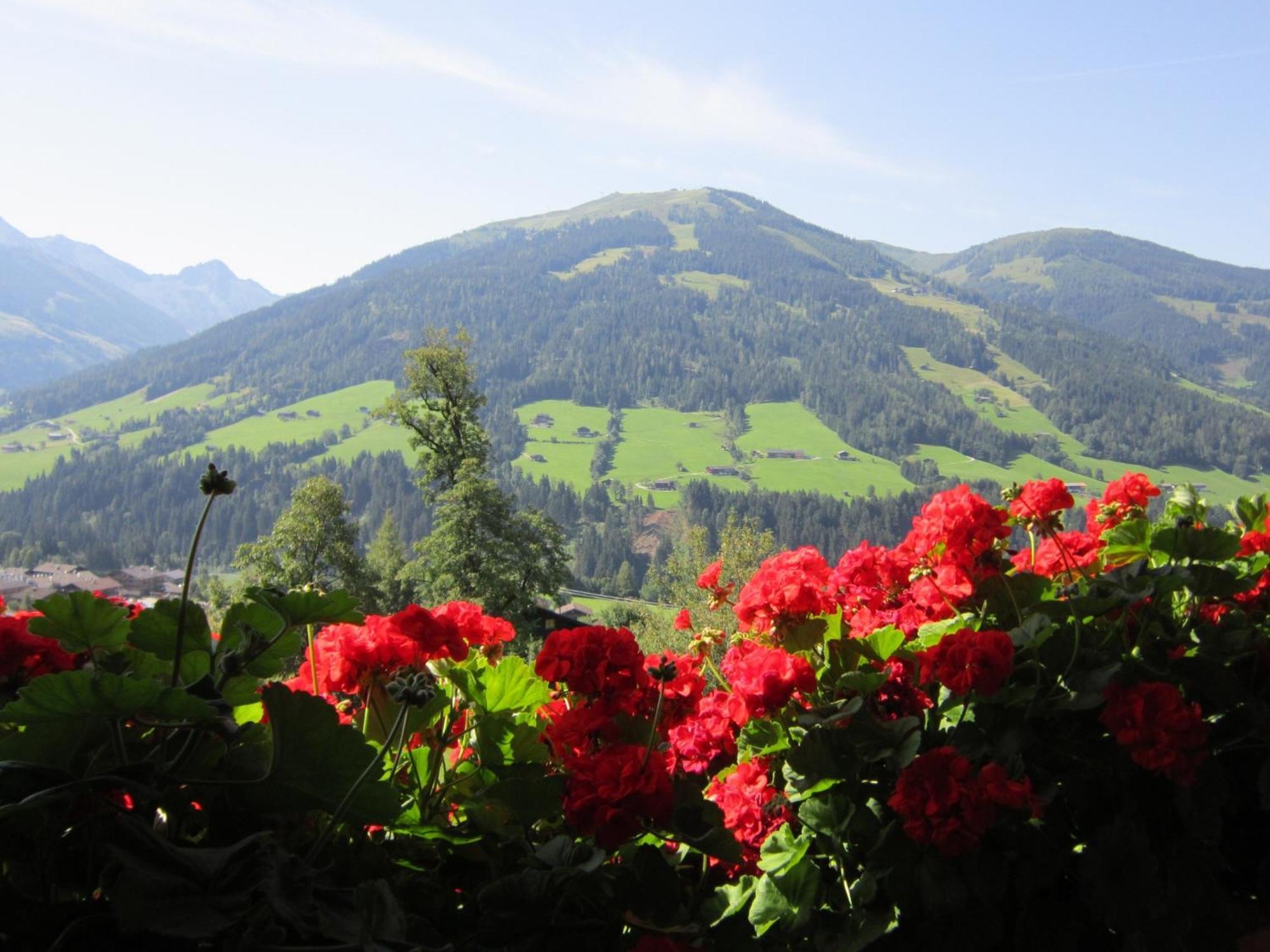 Alpbachblick Apartment Luaran gambar